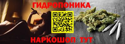 СК Пушкино