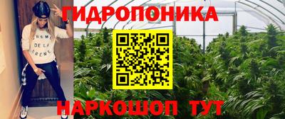 соль ск Пугачёв
