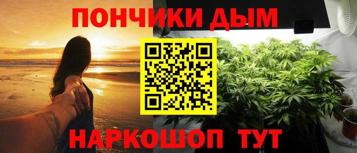 Бошки марихуана конопля Сарапул