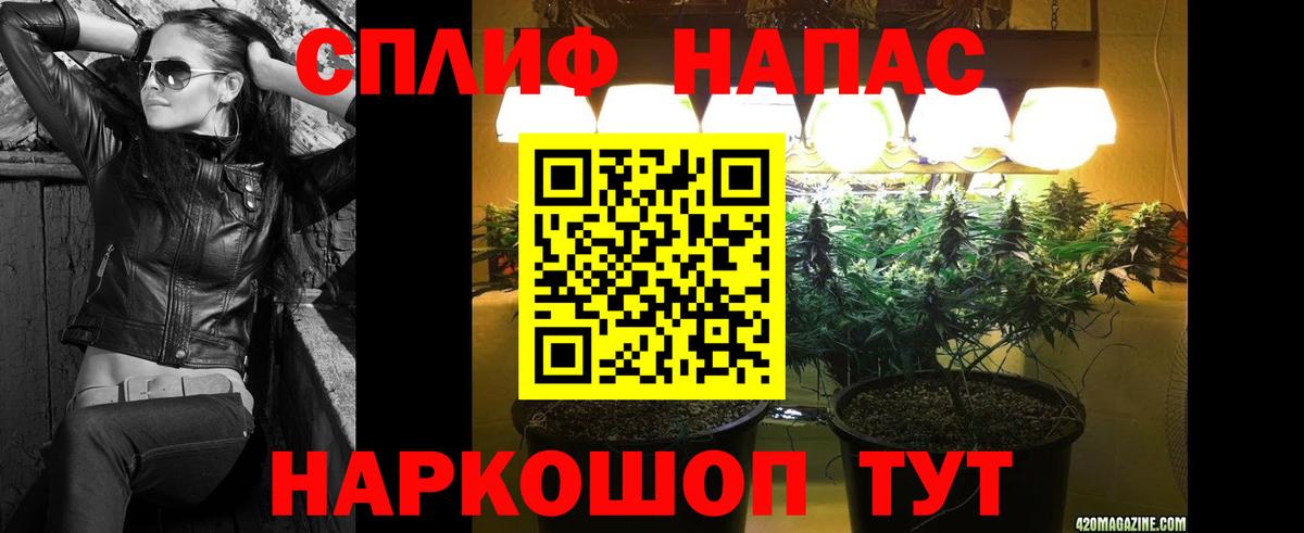 Конопля ГИДРОПОН  Вход с VPN  Канабис семена  Шишки марихуана AK-47  Сарапул 
